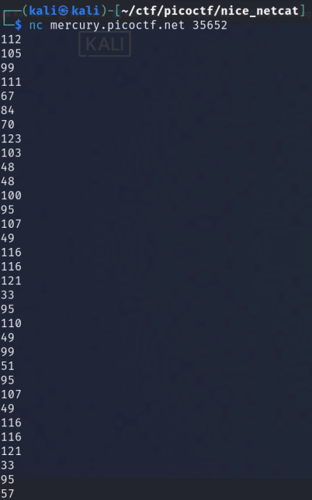 nice_netcat.png