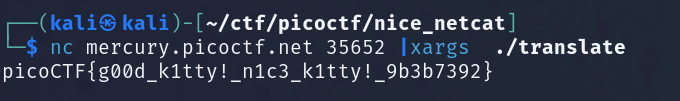 nice_netcat2.png