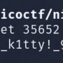 nice_netcat2.png